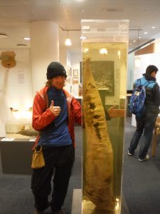 Rhodri and part of a whale weighing as much as him, A Robertson